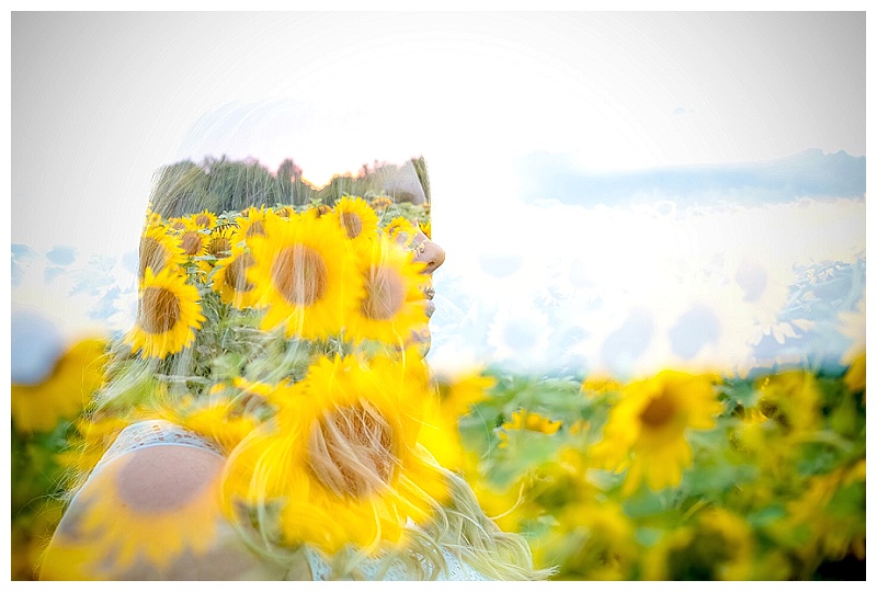 double exposure senior in sunflower field